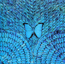 Santana : Borboletta (CD, Album, M/Print, RE)