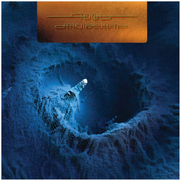 Tool Fear Inoculum (Limited Edition) (5-LP Box-set) - Discords.nl
