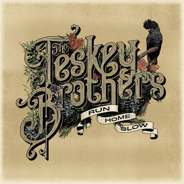 The Teskey Brothers : Run Home Slow (CD, Album)