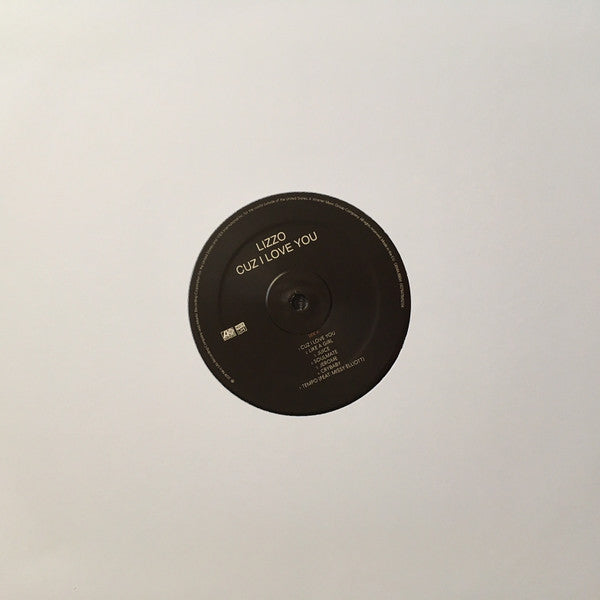 Lizzo : Cuz I Love You (LP, Album)