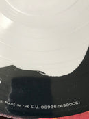 Disturbed : Believe (LP, Album, Ltd, Pic)