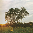 Fink : Bloom Innocent (LP, Album, Whi)