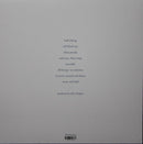 Charles Rumback  & Ryley Walker : Little Common Twist (LP)