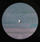 Charles Rumback  & Ryley Walker : Little Common Twist (LP)