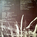 Kevin Ayers : Whatevershebringswesing (LP, Album, RE, Gat)