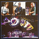 The Grateful Dead - The Grateful Dead - Ready Or Not (LP) (LP) - Discords.nl