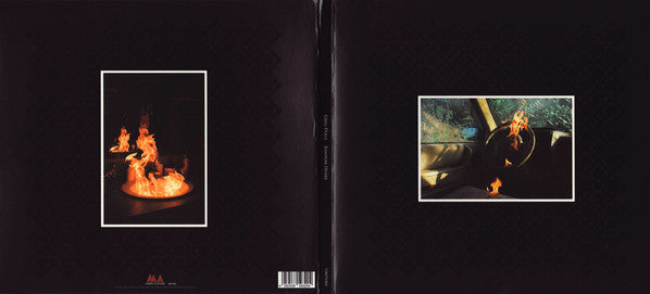 Greg Dulli : Random Desire (CD, Album)