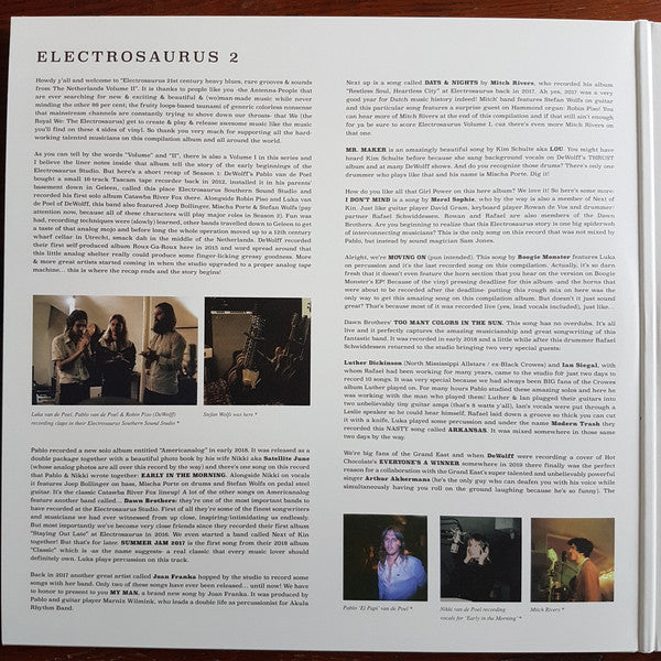 Various : Electrosaurus - 21st Century Heavy Blues, Rare Grooves & Sounds From The Netherlands - Vol.2 (2xLP, Comp, Ltd, Gol)