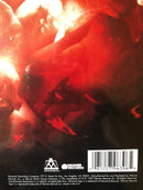 Madonna : Something To Remember (LP, Album, Comp, RE, 180)