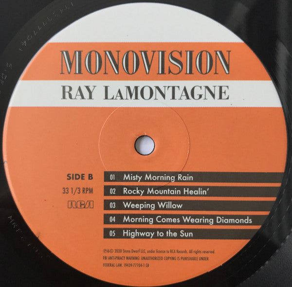 Ray Lamontagne : Monovision (LP, Album)