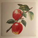 The Rolling Stones : Undercover (LP, Album, RE, RM, Hal)