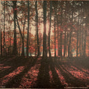 H.C. McEntire* : Eno Axis (LP, Album, Ltd, Cop)