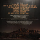 The Waterboys : Good Luck, Seeker (LP, Album, 180)