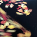 Animal Collective : Merriweather Post Pavilion (2xLP, Album, Dlx, 180)