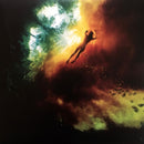 Animal Collective : Merriweather Post Pavilion (2xLP, Album, Dlx, 180)