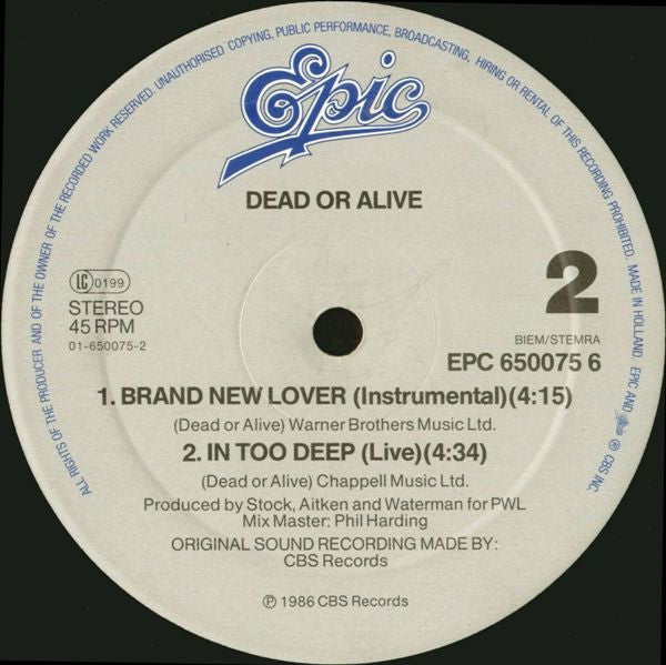 Dead Or Alive : Brand New Lover (12", Maxi)