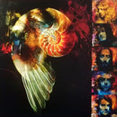 Paradise Lost - Paradise Lost - Draconian Times (25th Anniversary Edition)  (LP) - Discords.nl