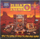 Public Enemy : What You Gonna Do When The Grid Goes Down? (LP, Album, S/Edition)