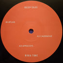 Bicep : Isles (2xLP, Album, Gat)