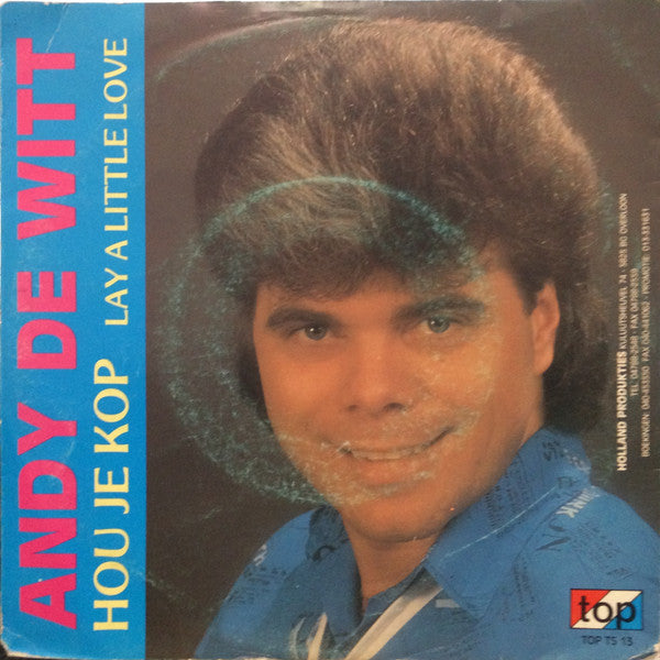 Andy de Witt : Hou Je Kop (7", Single)