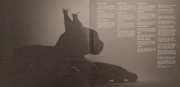 Disclosure (3) : Caracal (2xLP, Album, RE)