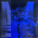 First Aid Kit : Who By Fire - Live Tribute To Leonard Cohen (2xLP, Album, Ltd, Blu)