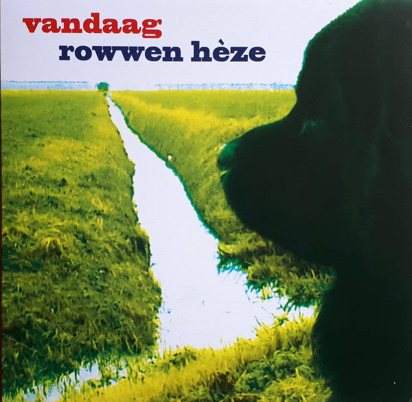 Rowwen Hèze - Rowwen Hèze - Vandaag (LP) (LP) - Discords.nl