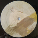 Ryley Walker : Course In Fable (LP, Album)