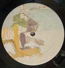 Ryley Walker : Course In Fable (LP, Album)