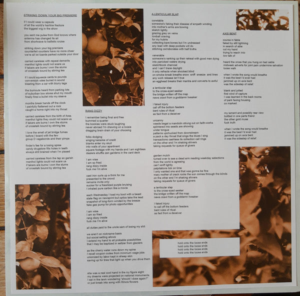 Ryley Walker : Course In Fable (LP, Album)