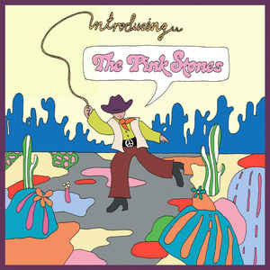 The Pink Stones : Introducing...The Pink Stones (CD, Album)