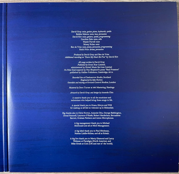 David Gray : Skellig (2xLP, Album)