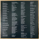 David Gray : Skellig (2xLP, Album)