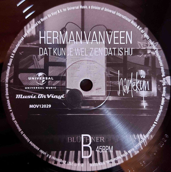 Herman van Veen : Dat Kun Je Wel Zien Dat Is Hij (12", Ltd)