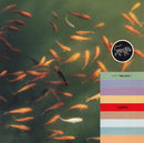 The Guo Brothers & Shung Tian : Yuan (CD, Album)