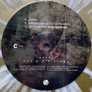 Affkt : The Big Picture (2xLP, Album, Spl)