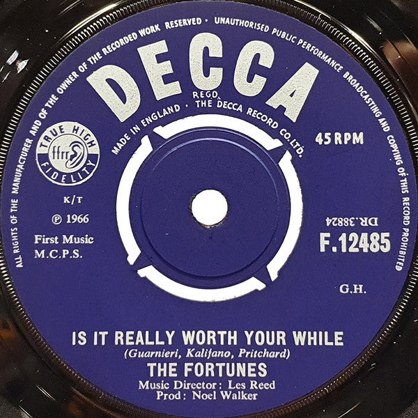 The Fortunes : Is It Really Worth Your While? (7")