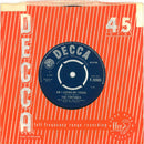 The Fortunes : Is It Really Worth Your While? (7")