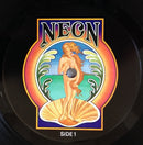 Fair Weather - Beginning From An End (LP Tweedehands) - Discords.nl