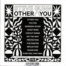 Steve Gunn : Other You (CD, Album)