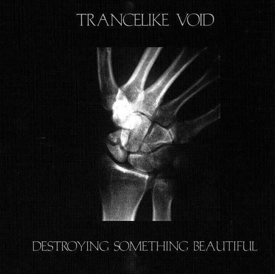 Trancelike Void : Destroying Something Beautiful (CD, Album)