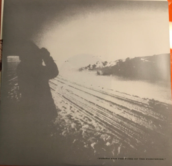 Echo & The Bunnymen : Porcupine (LP, Album, Ltd, RE, Whi)