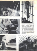 Armand Schaubroeck Steals : A Lot Of People Would Like To See Armand Schaubroeck ... Dead (3xLP, Album, Quad)