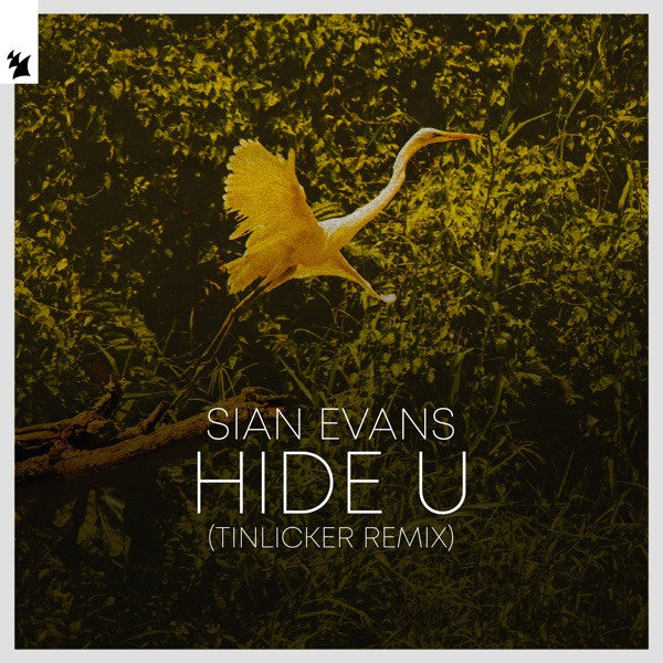 Sian Evans : Hide U (Tinlicker Remix) (12")