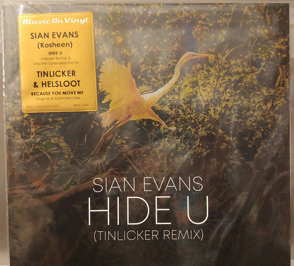 Sian Evans : Hide U (Tinlicker Remix) (12")