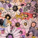 Maroon 5 : Jordi (LP, Album, Pur)