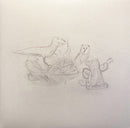 Big Thief : Dragon New Warm Mountain I Believe In You (2xLP, Album, Ran)