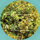 Big Thief : Dragon New Warm Mountain I Believe In You (2xLP, Album, Ran)