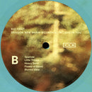 Big Thief : Dragon New Warm Mountain I Believe In You (2xLP, Album, Ran)