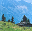 Goldfrapp : Felt Mountain (LP, Ltd, RE, Gol)